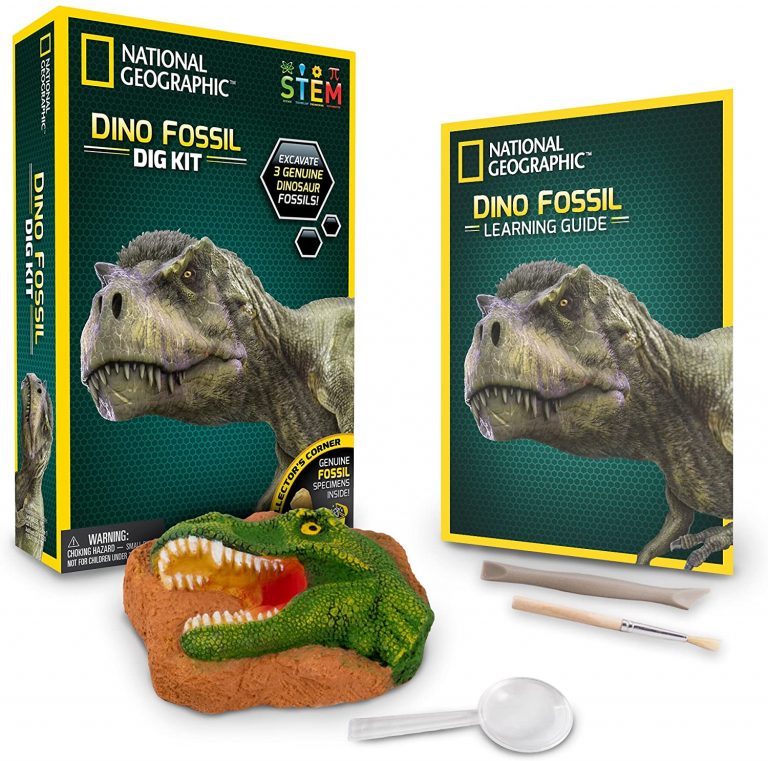 dinosaur egg dig kit national geographic