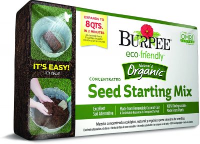 burpeeseed