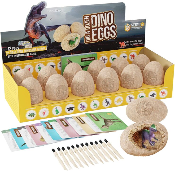 dino eggs dig site