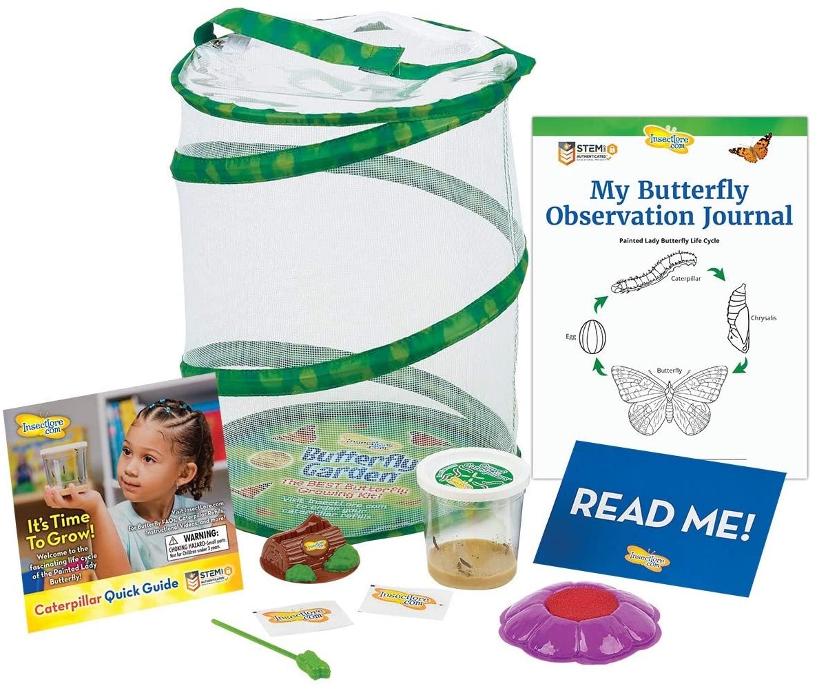 Insect Lore Butterfly Garden Original Habitat and Live Cup of