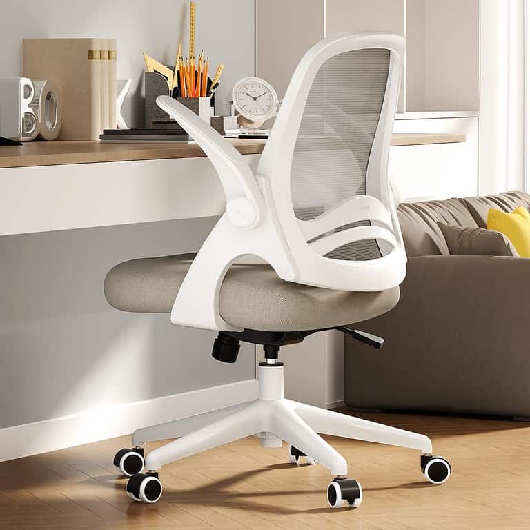 Save on Hbada Ergonomic Office Chair