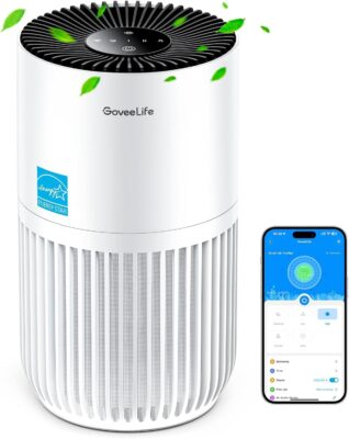 GoveeLife Mini Air Purifier Only $29.99