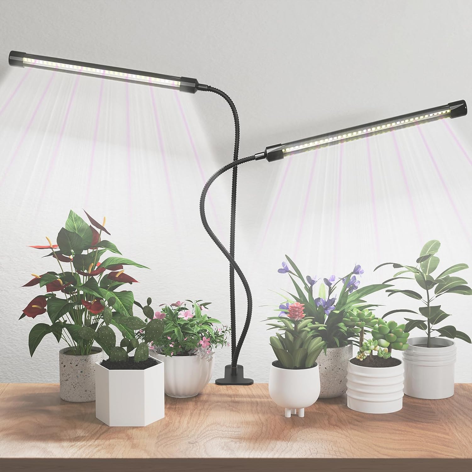GHodec 6500K Full Spectrum Grow Light Only $13.10