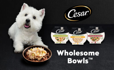 Thursday Freebies – Free Sample of Cesar Wholesome Bowls Dog Food